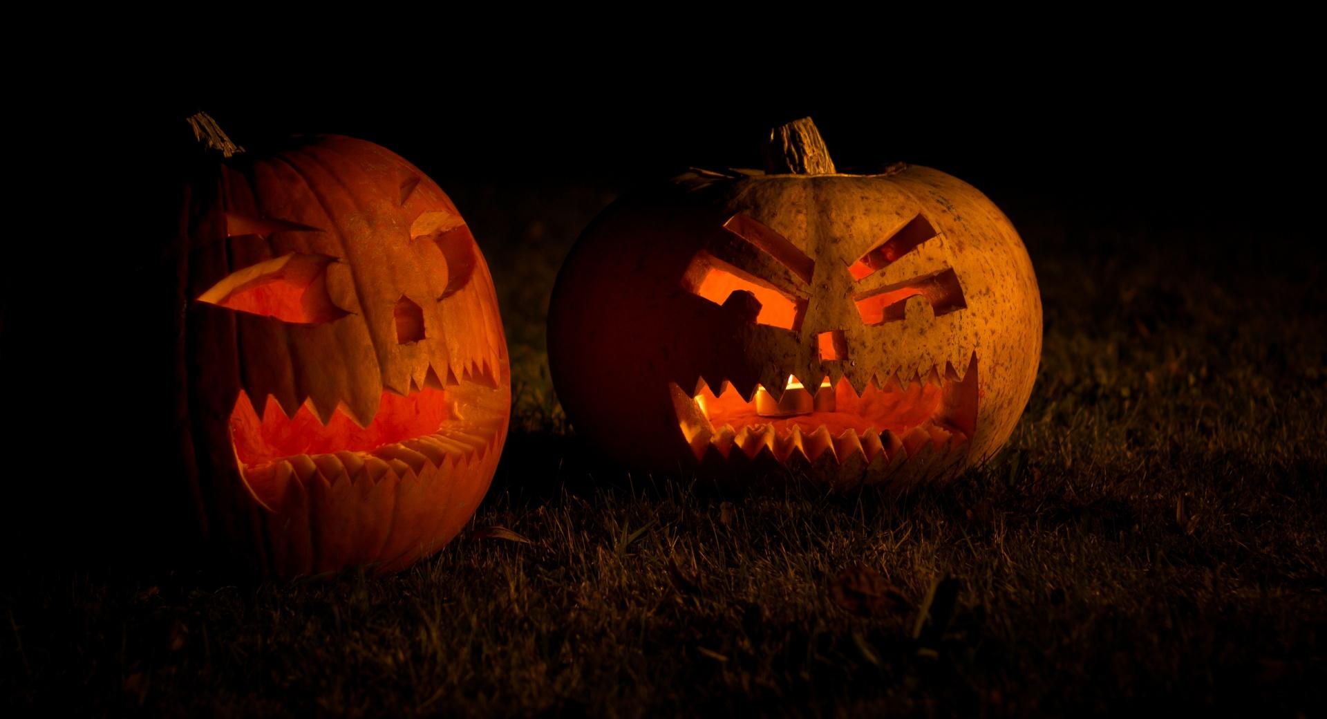 Carved Halloween Pumpkins at 1152 x 864 size wallpapers HD quality