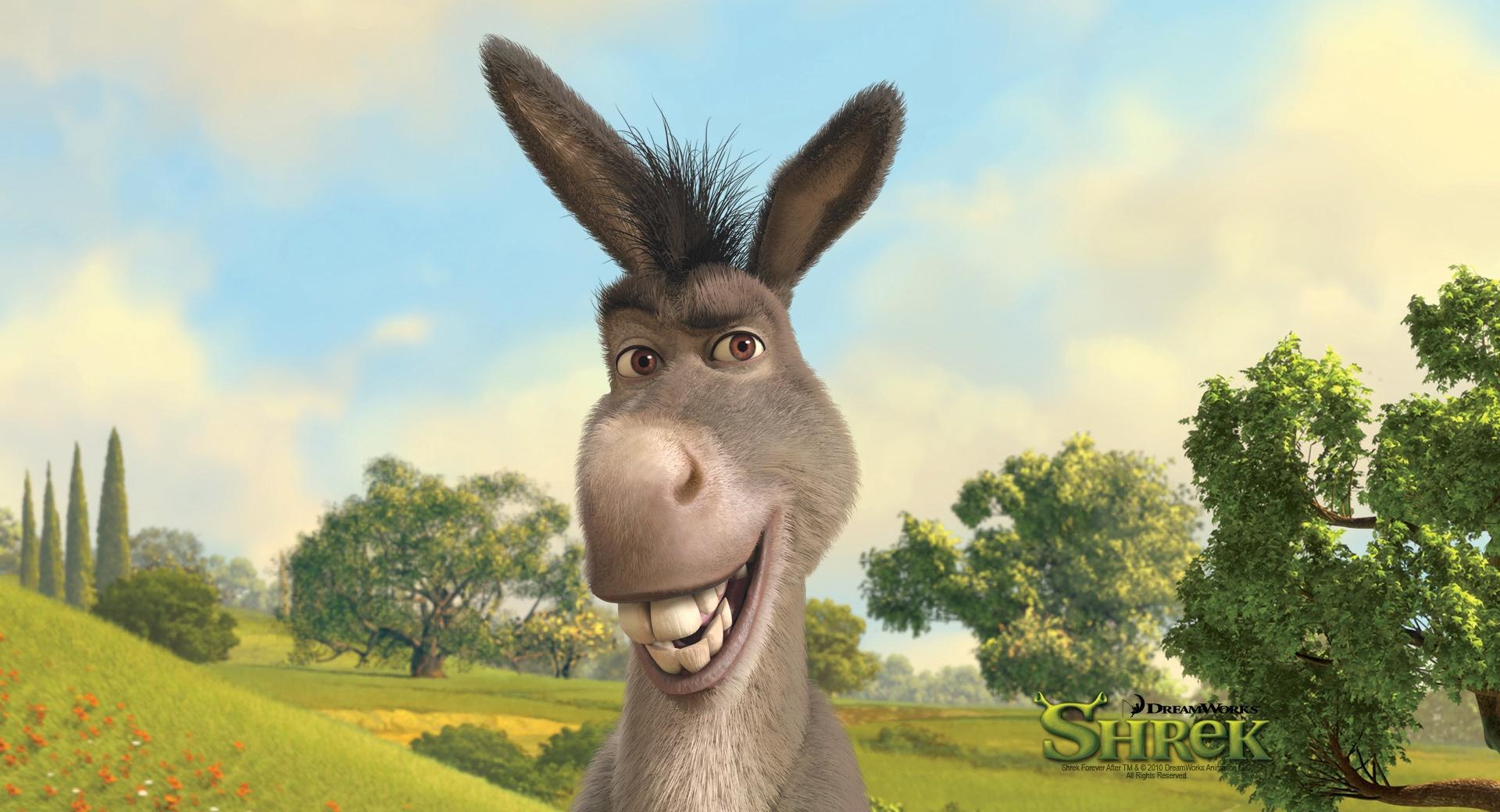 Donkey, Shrek The Final Chapter at 1024 x 1024 iPad size wallpapers HD quality