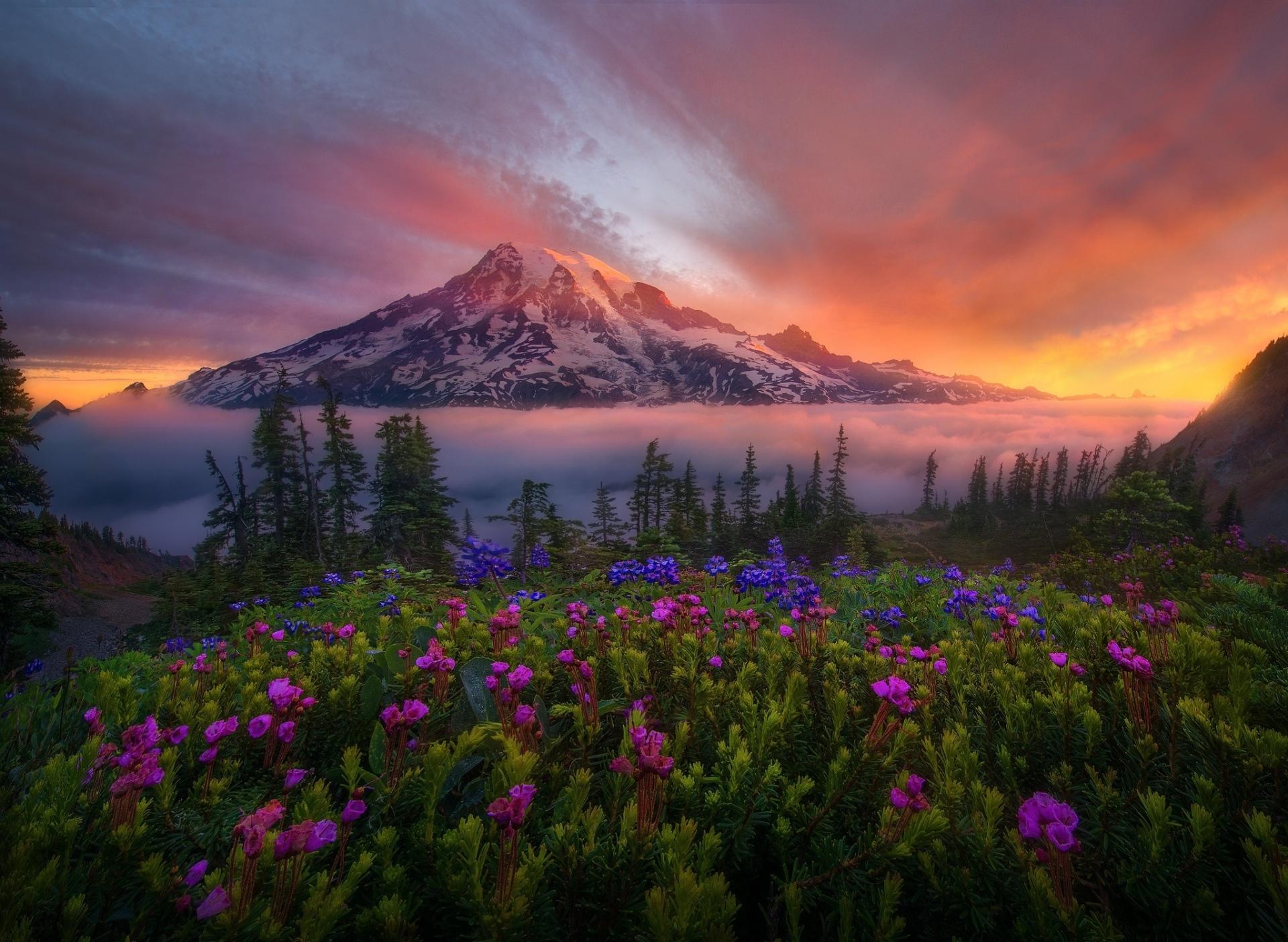 Mount Rainier at 640 x 960 iPhone 4 size wallpapers HD quality