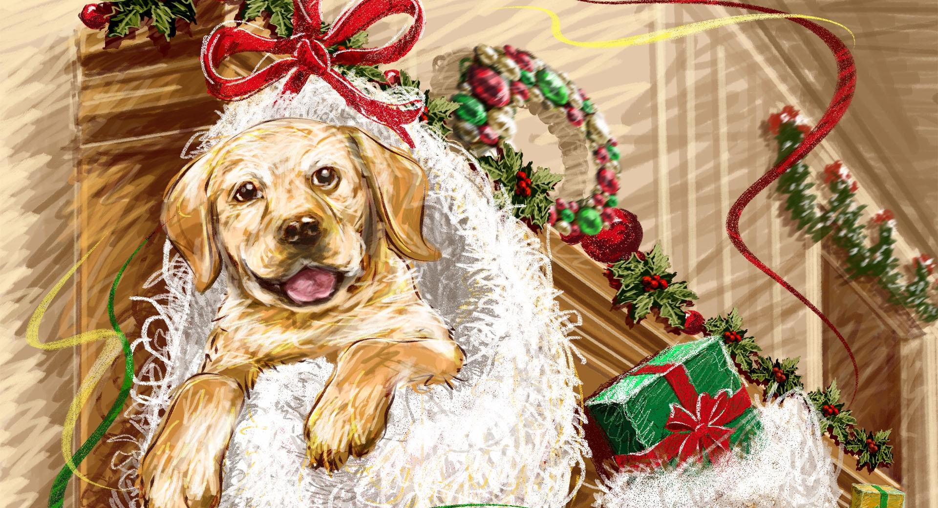 Puppy Present Christmas at 1024 x 1024 iPad size wallpapers HD quality