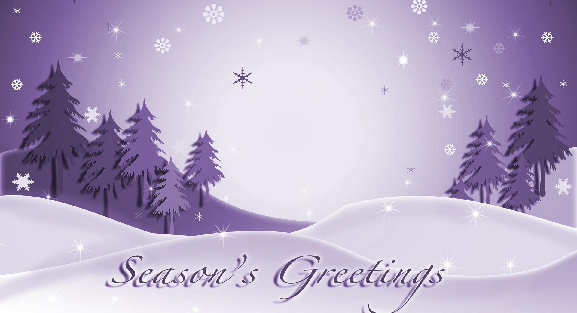 Seasons Greetings Firs at 1152 x 864 size wallpapers HD quality
