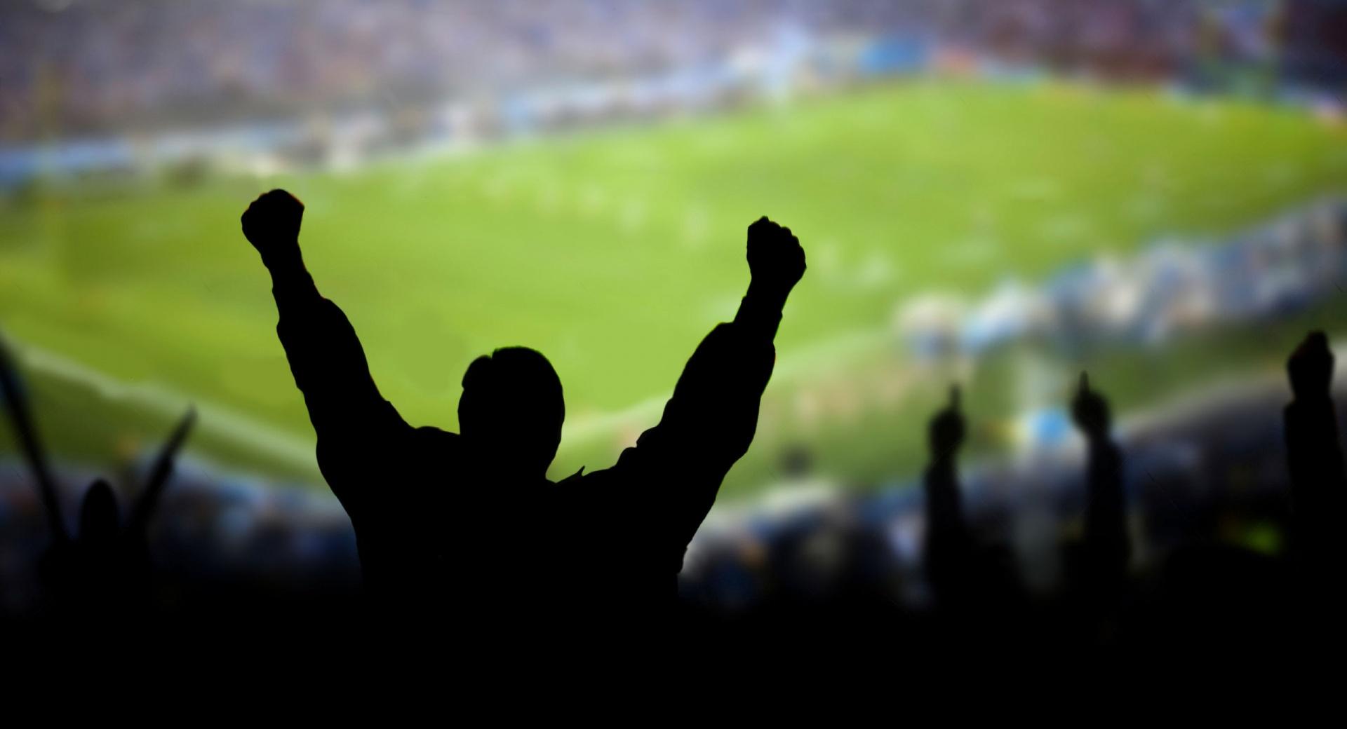 Soccer Fans at 320 x 480 iPhone size wallpapers HD quality