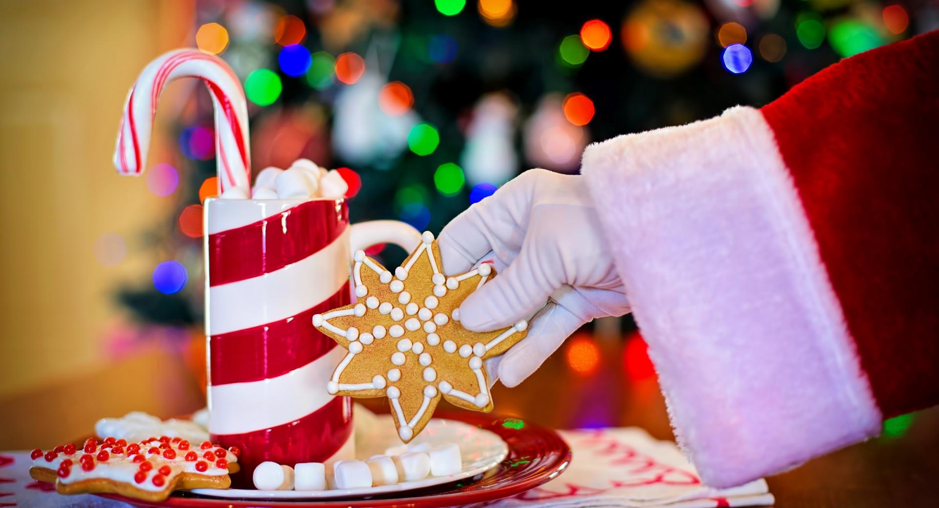 Treats for Santa plate at 1152 x 864 size wallpapers HD quality