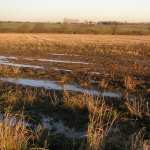 Muddy Field photo