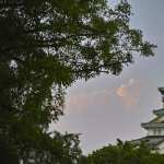 Osaka Castle background