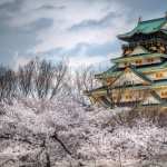 Osaka Castle wallpapers