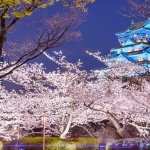 Osaka Castle images