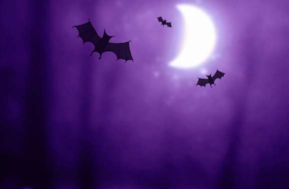 Bats  Halloween wallpapers hd quality