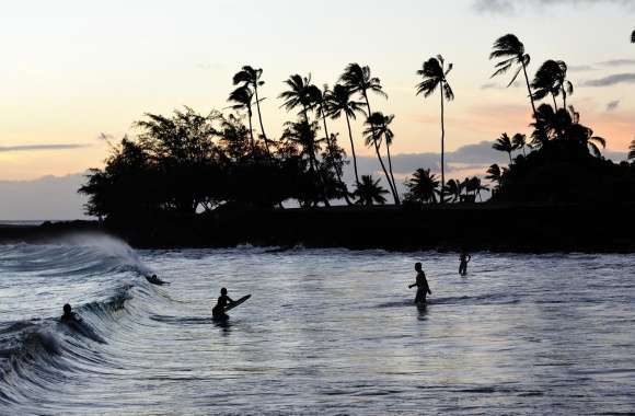 Bodyboarders wallpapers hd quality