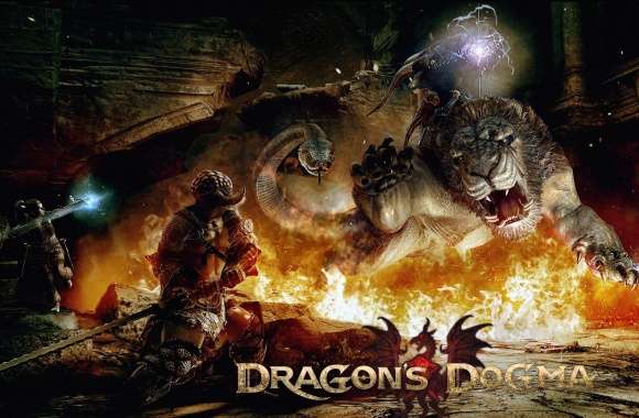 Dragons Dogma Game