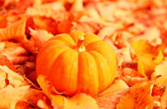 Pumpkin And Autumn Leaves