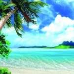 Tropical free download