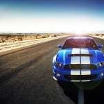 Ford Mustang Shelby GT500 download wallpaper