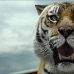 Life Of Pi high quality wallpapers