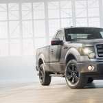 2014 Ford F-150 Tremor image