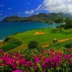 Golf Course PC wallpapers