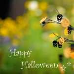 Happy Halloween hd photos
