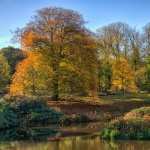 Lyme Park wallpapers for iphone