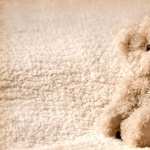 Stuffed Animal wallpapers for iphone