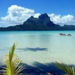 Tropical high definition wallpapers
