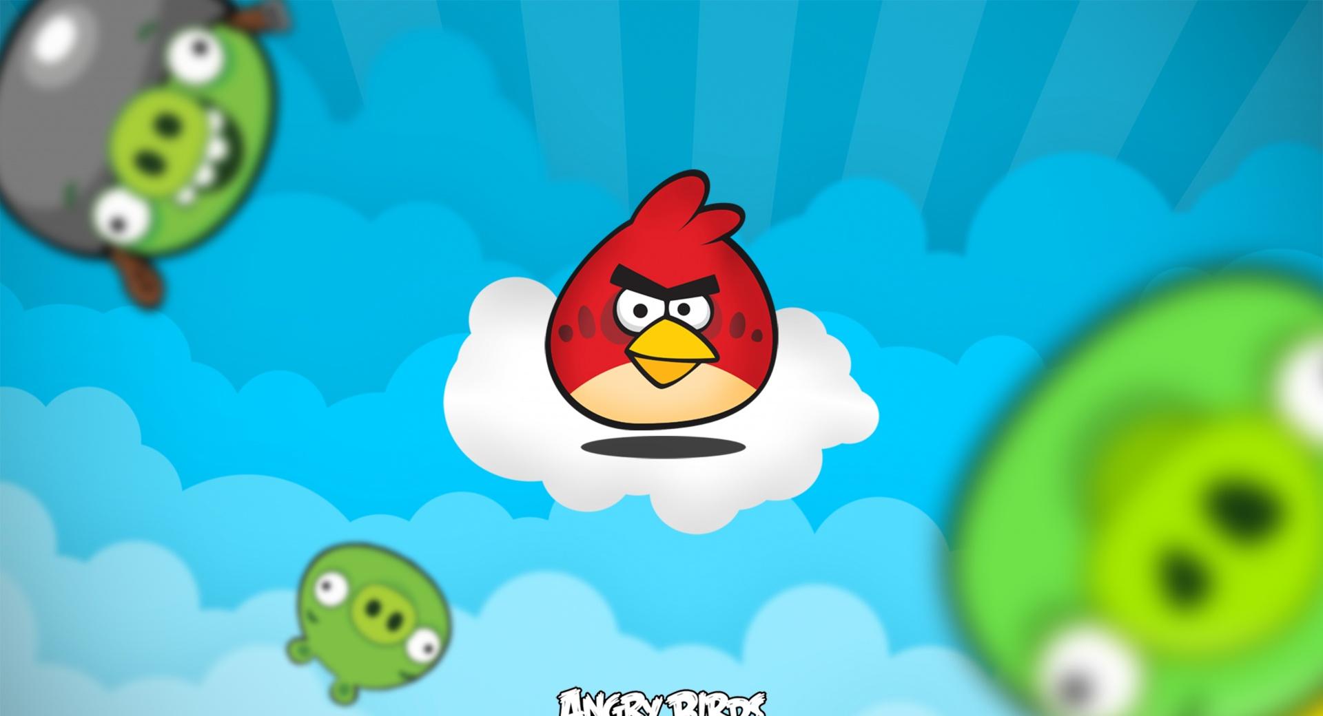 Angry Birds 2013 at 640 x 1136 iPhone 5 size wallpapers HD quality