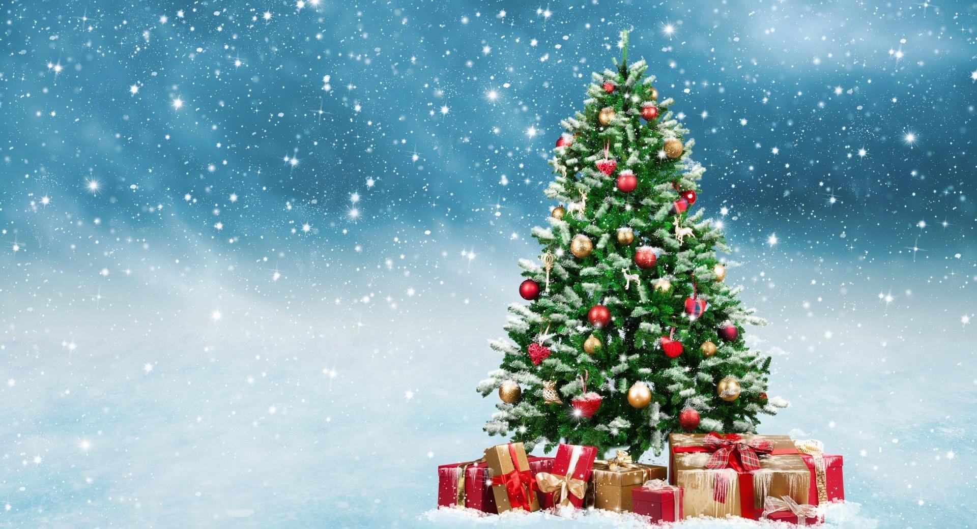 Beautiful Christmas Tree 2016 at 640 x 960 iPhone 4 size wallpapers HD quality