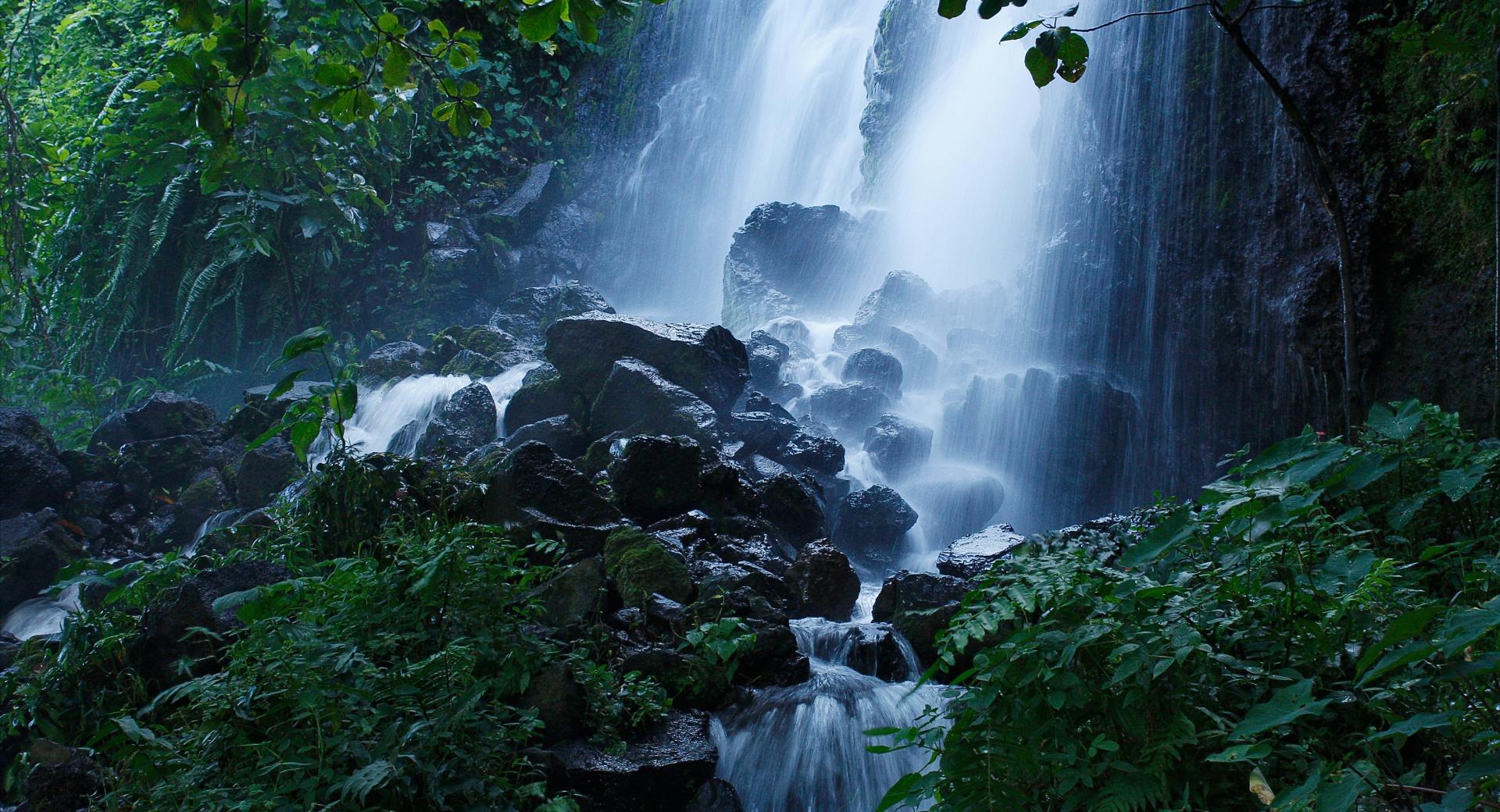 Beautiful Forest Waterfall, Summer at 640 x 960 iPhone 4 size wallpapers HD quality