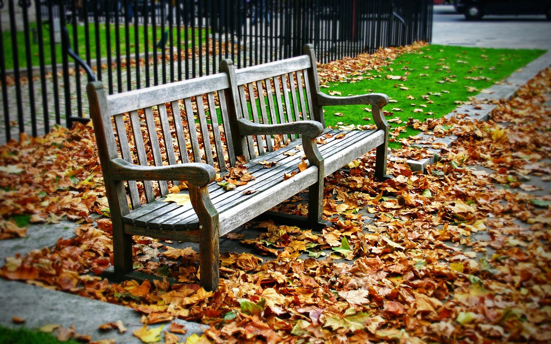 Bench at 640 x 960 iPhone 4 size wallpapers HD quality