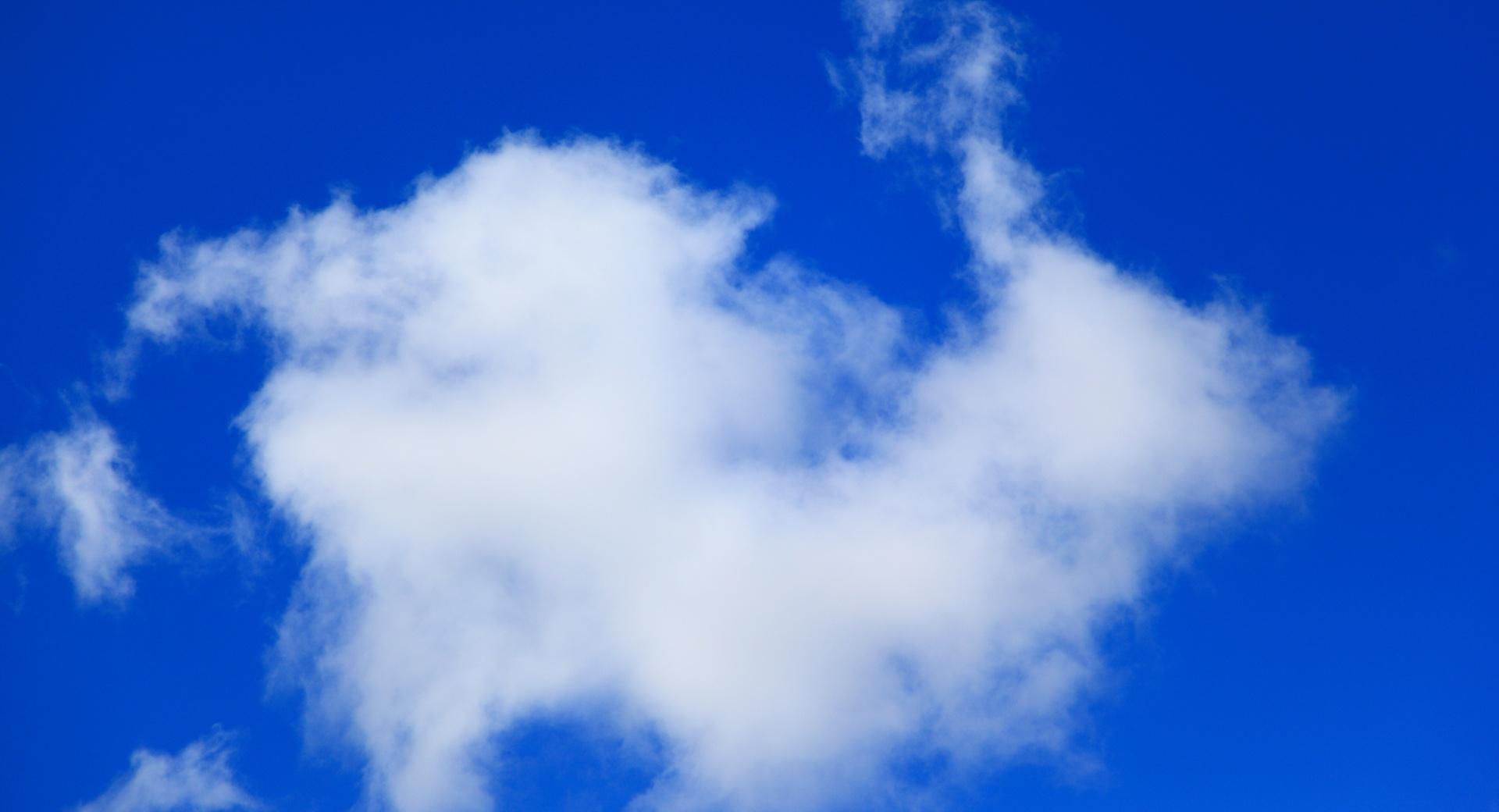 Bunny Rabbit Cloud at 1920 x 1080 HD size wallpapers HD quality