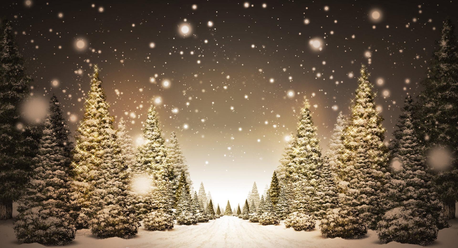 Christmas Forest at 750 x 1334 iPhone 6 size wallpapers HD quality