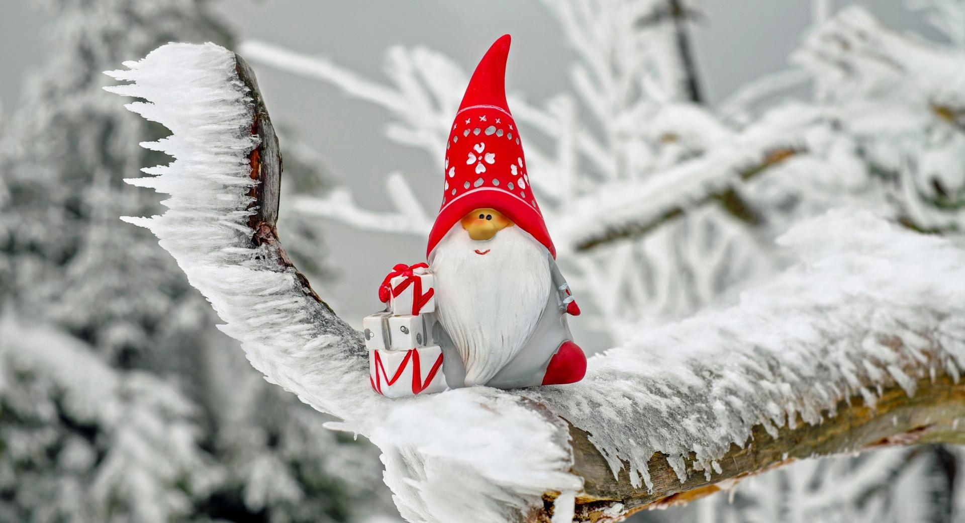 Christmas Gnome at 750 x 1334 iPhone 6 size wallpapers HD quality