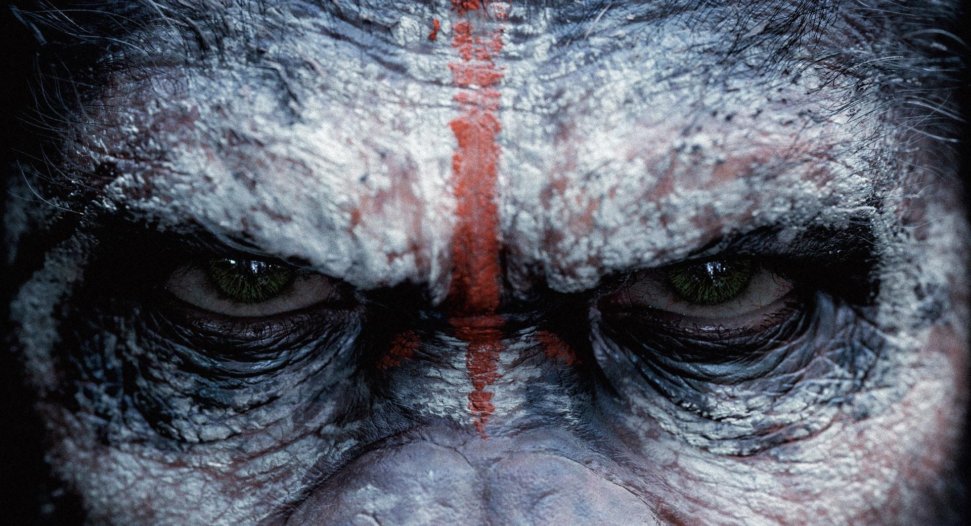 Dawn of the Planet of the Apes Caesar at 1024 x 1024 iPad size wallpapers HD quality