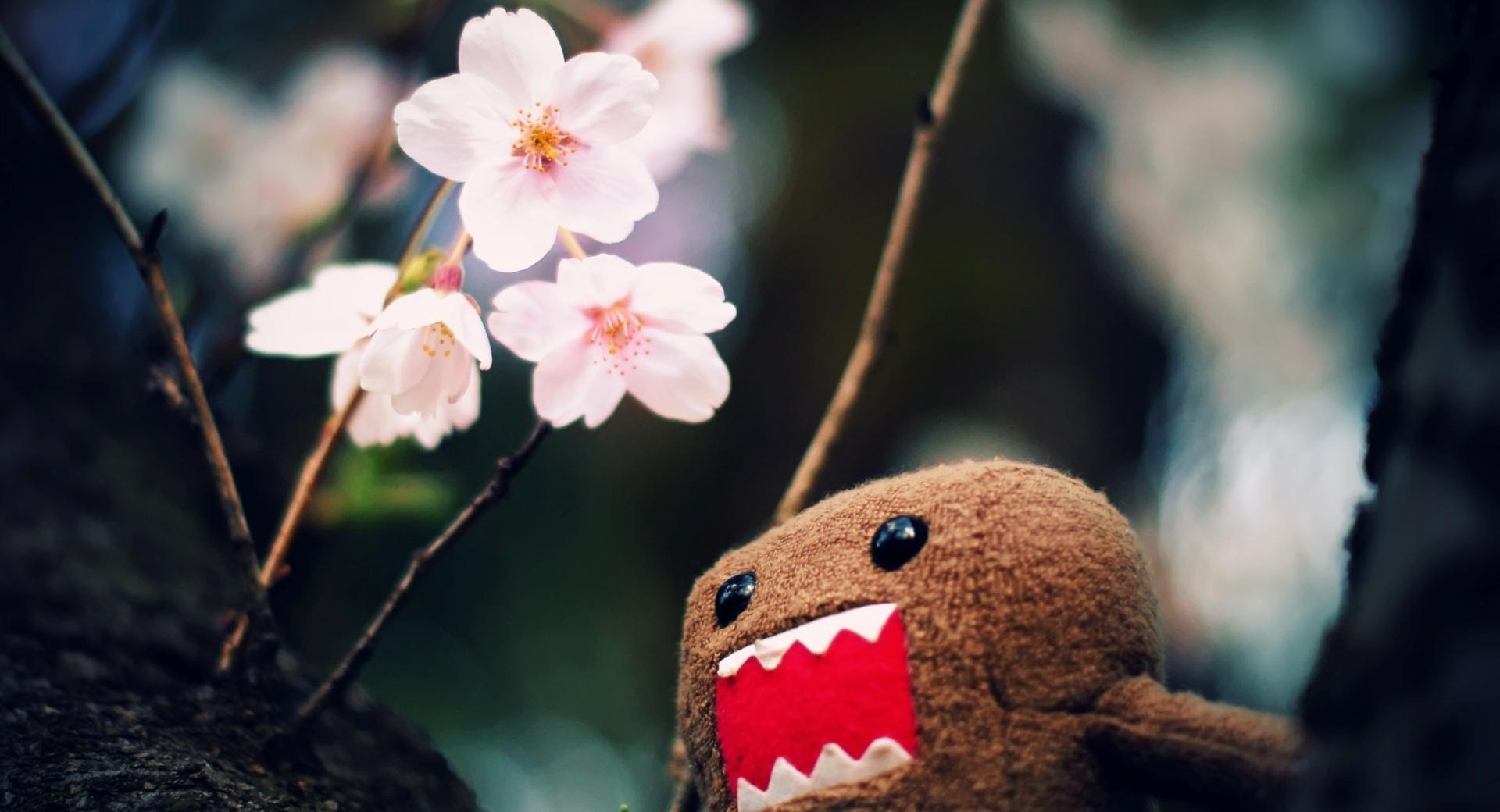 Domo Kun And Tree Blossoms at 1280 x 960 size wallpapers HD quality