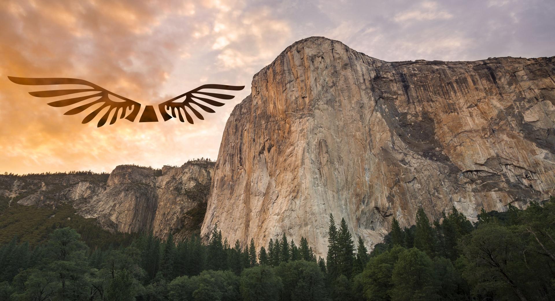 Eagle Yosemite at 2048 x 2048 iPad size wallpapers HD quality