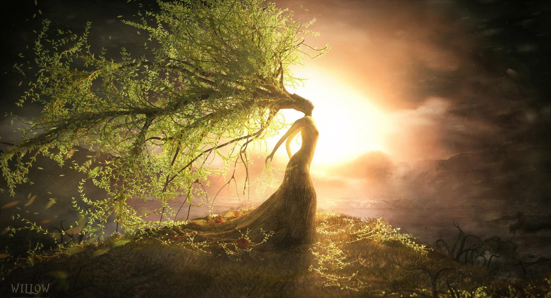 Fantasy Willow at 750 x 1334 iPhone 6 size wallpapers HD quality