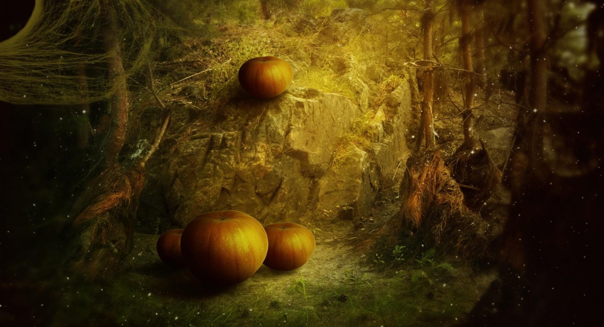 Halloween Holiday at 640 x 1136 iPhone 5 size wallpapers HD quality