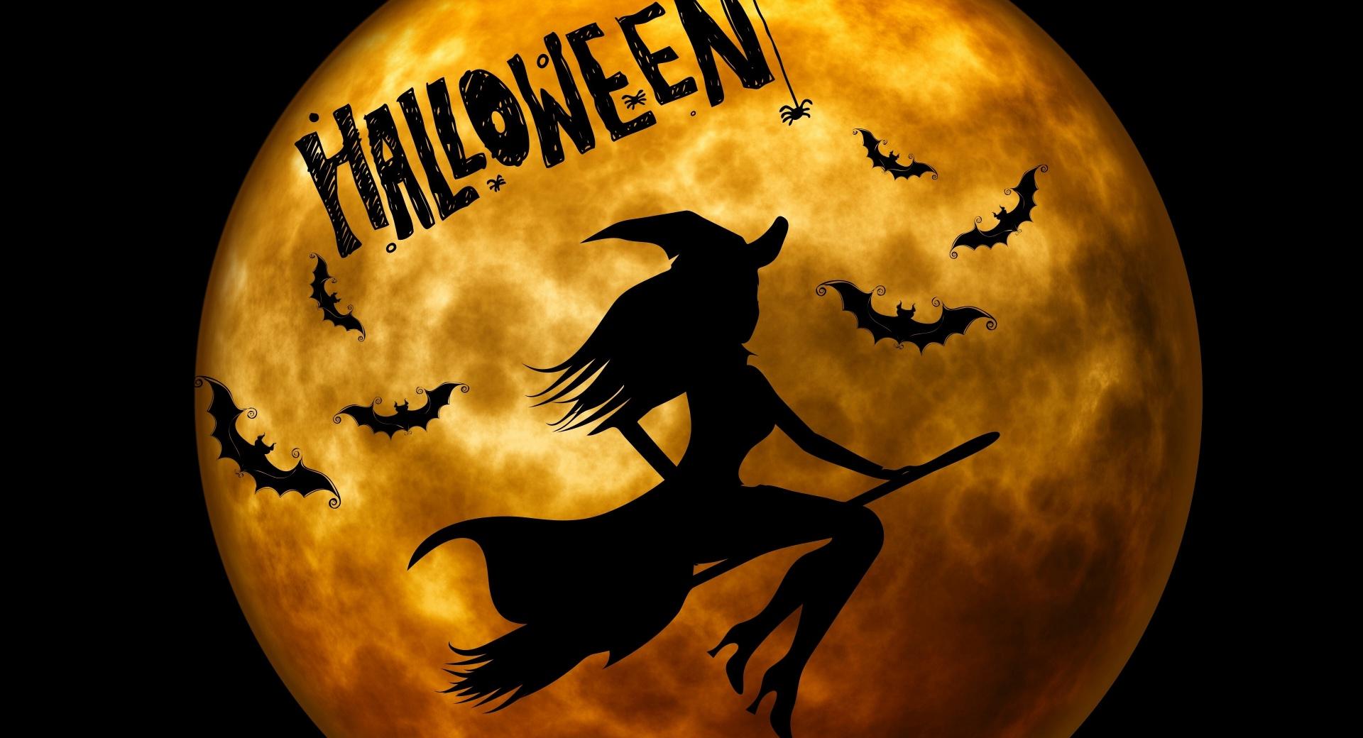 Halloween Witch on Broom Orange wallpapers HD quality