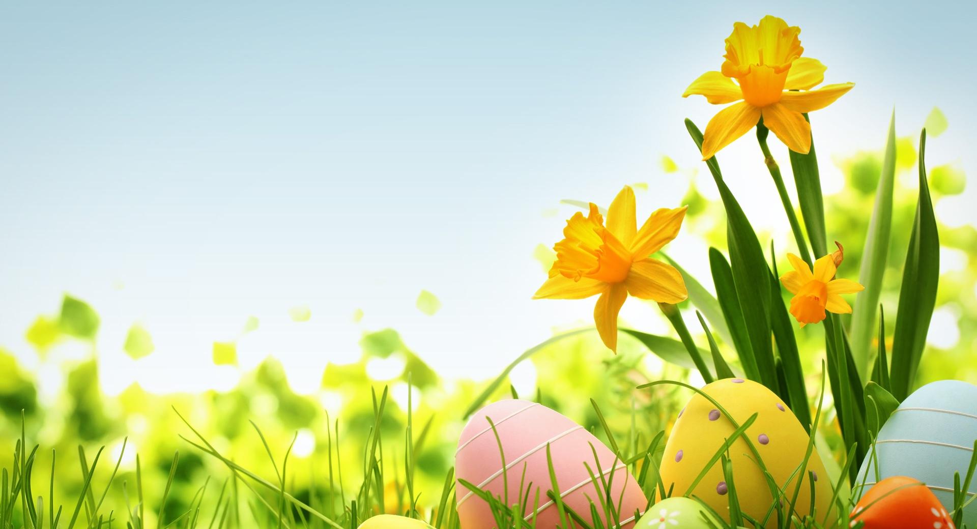 Happy Easter 2014 at 750 x 1334 iPhone 6 size wallpapers HD quality