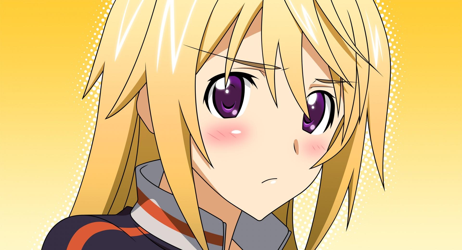 Infinite Stratos Dunois Charlotte at 640 x 1136 iPhone 5 size wallpapers HD quality