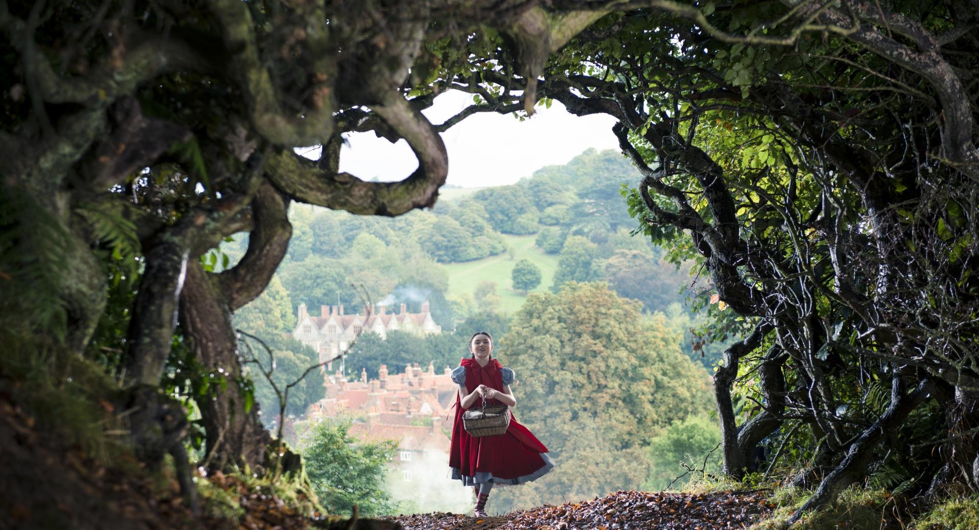 Into The Woods Disney at 320 x 480 iPhone size wallpapers HD quality