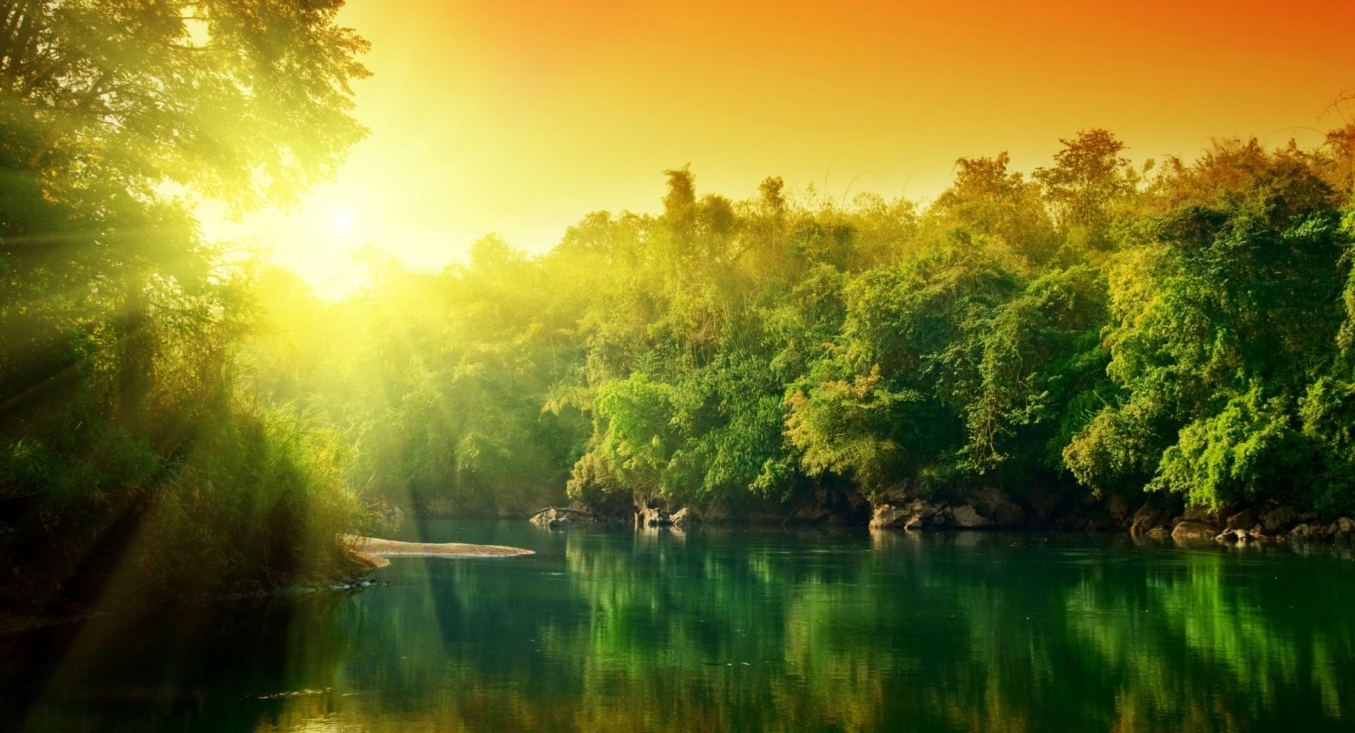 Lush Green Forest River At Sunrise wallpapers HD quality