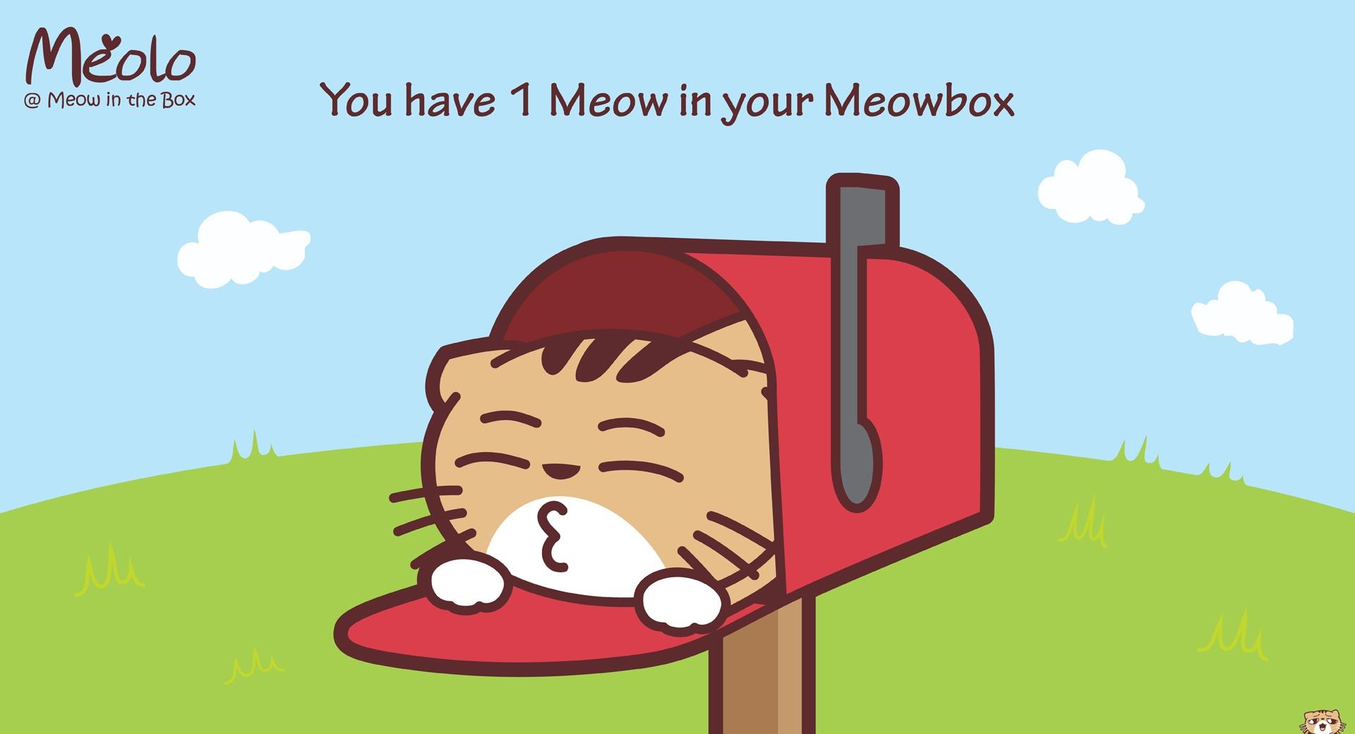 Meolo Meowbox - Meow in the Box at 1024 x 1024 iPad size wallpapers HD quality