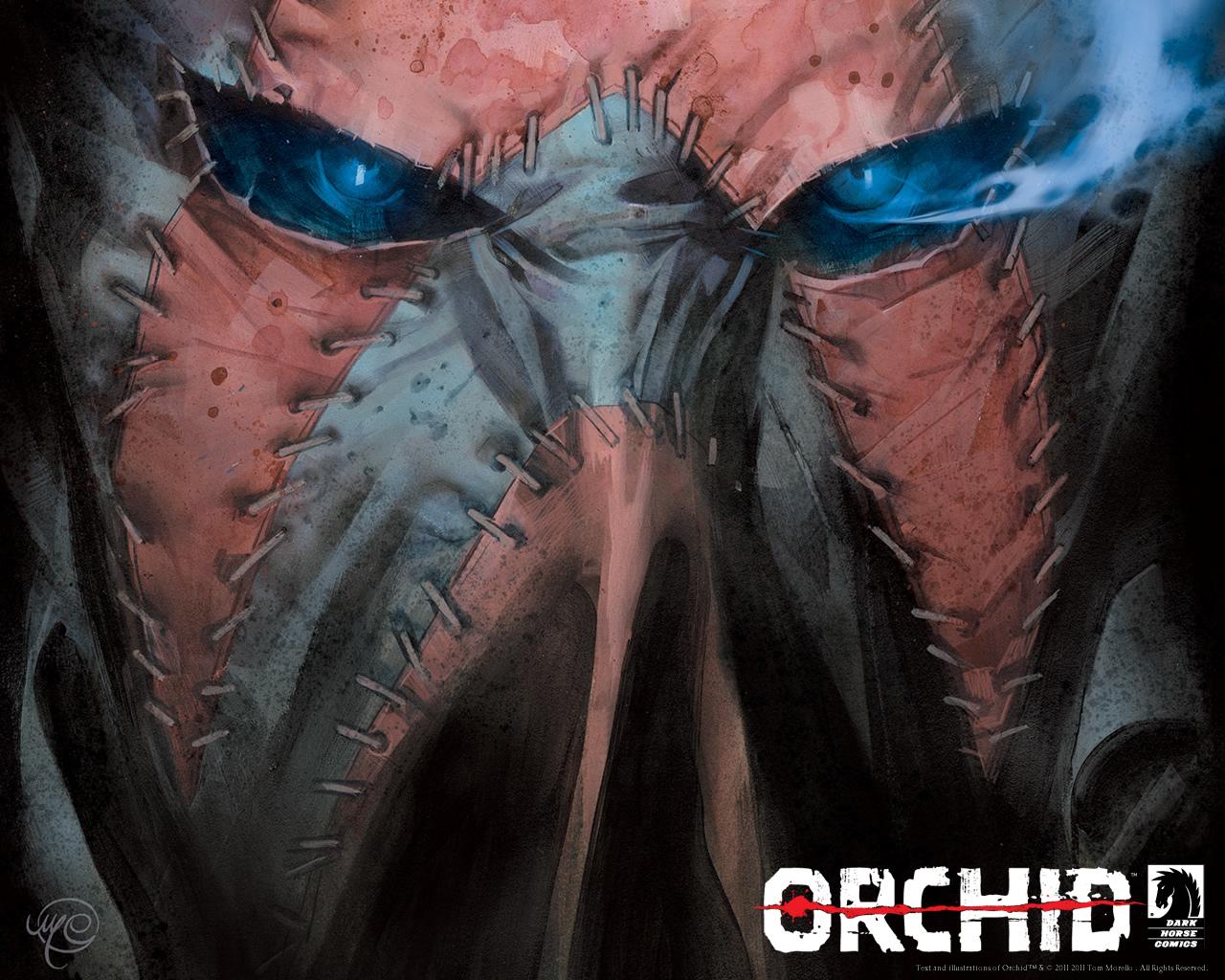Orchid Comics at 1600 x 1200 size wallpapers HD quality
