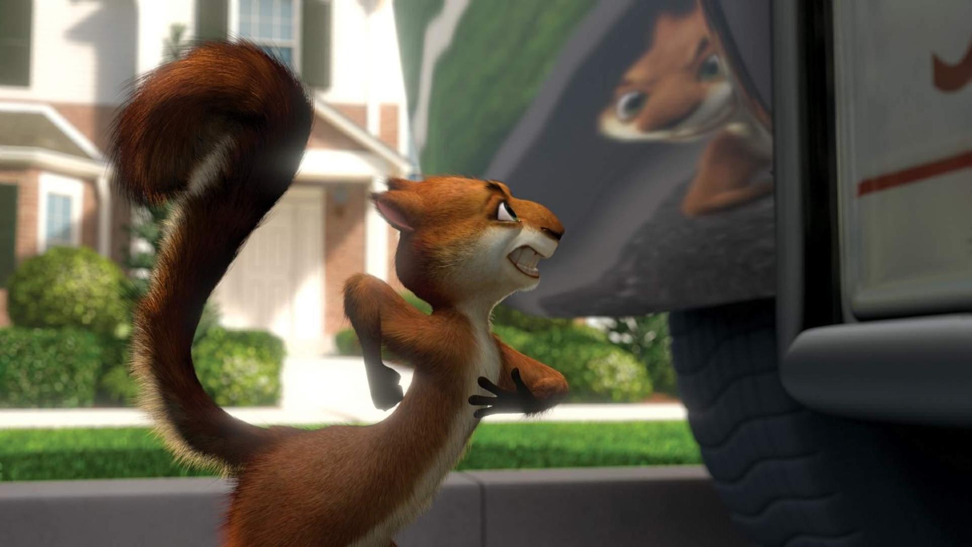 Over The Hedge at 1280 x 960 size wallpapers HD quality