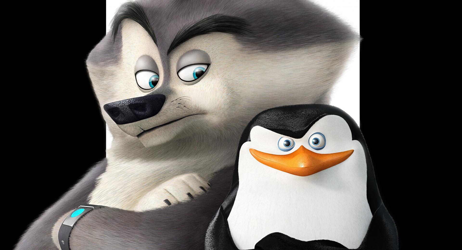 Penguins of Madagascar Skipper wallpapers HD quality