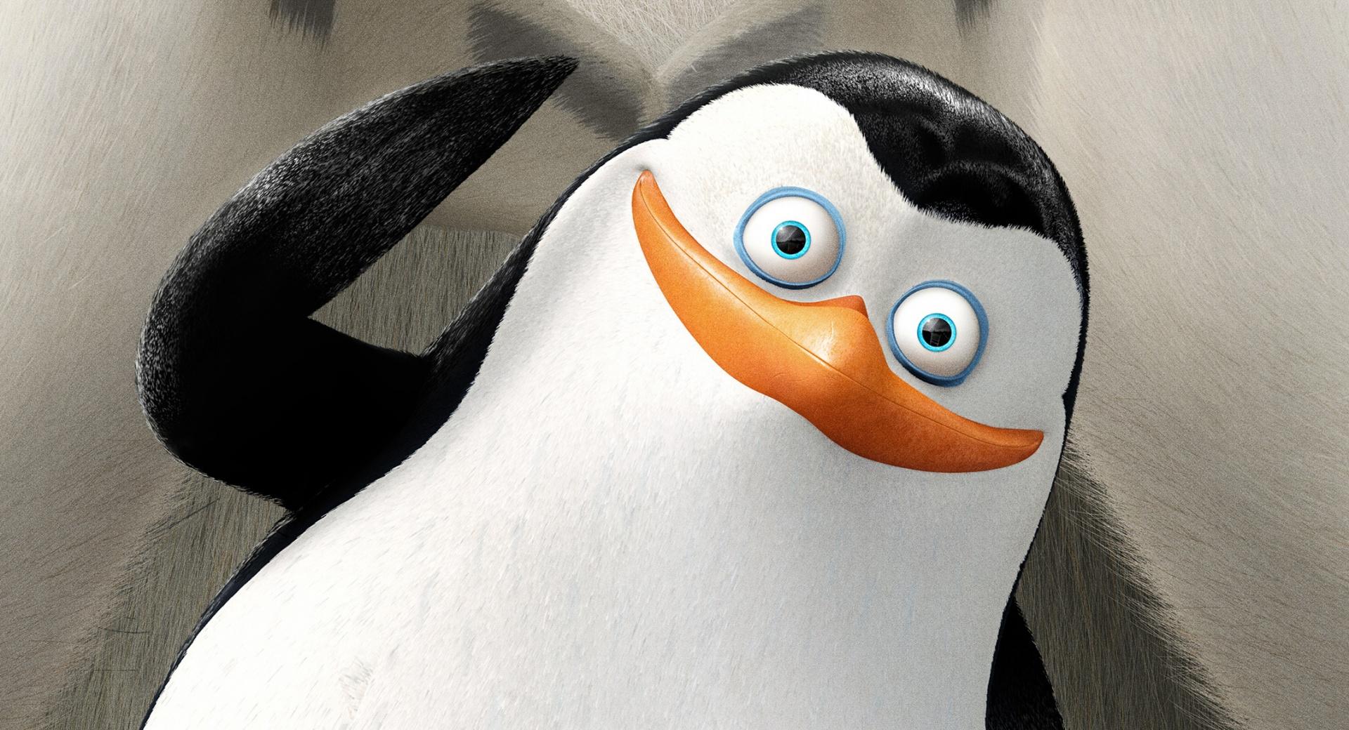 Private Penguins of Madagascar wallpapers HD quality