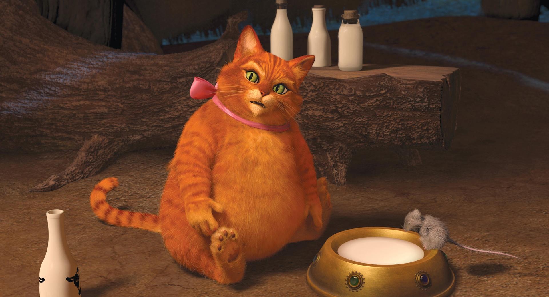 Puss in Boots, Shrek Forever After wallpapers HD quality