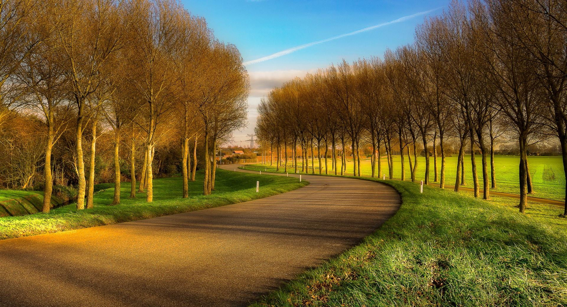 Road Between Field And Forest at 640 x 1136 iPhone 5 size wallpapers HD quality