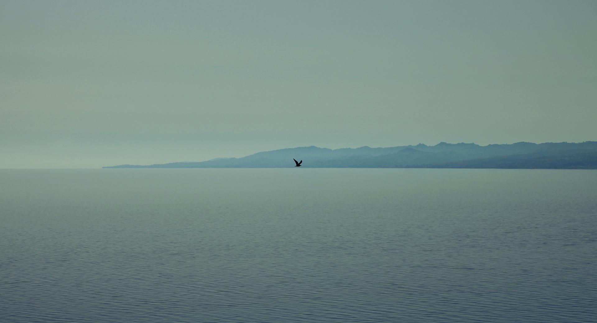 Sea of Alone at 640 x 960 iPhone 4 size wallpapers HD quality