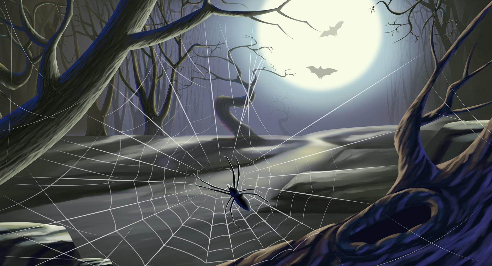 Spider Web Full Moon Hallowmas Halloween at 1600 x 1200 size wallpapers HD quality